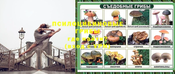 амф Костерёво