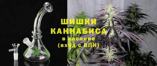 амф Костерёво
