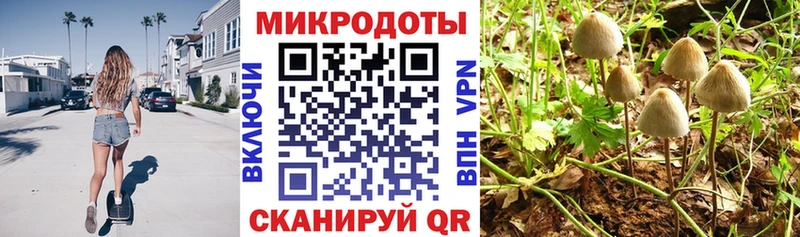Псилоцибиновые грибы прущие грибы  Мезень 